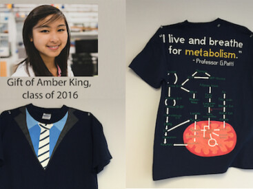 Business in front, metabolism in back. Gracious gift of Biochemistry student Amber King (Class of 2016).